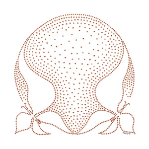 300x300
