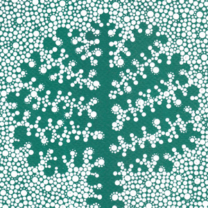 300x300